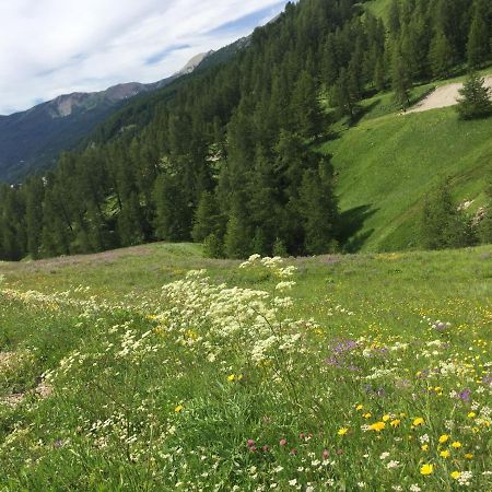 Studio Montagne Allos Dış mekan fotoğraf