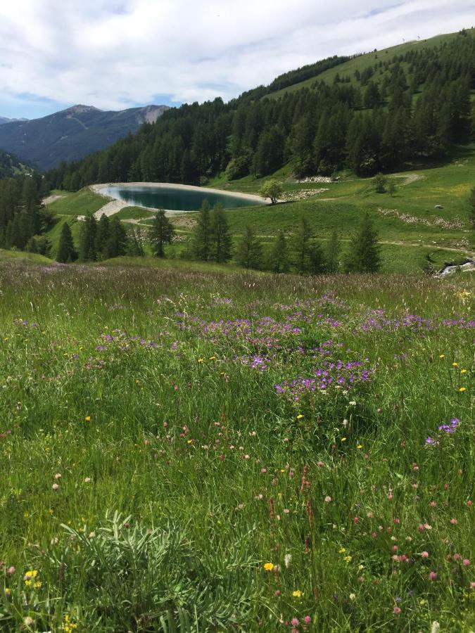Studio Montagne Allos Dış mekan fotoğraf