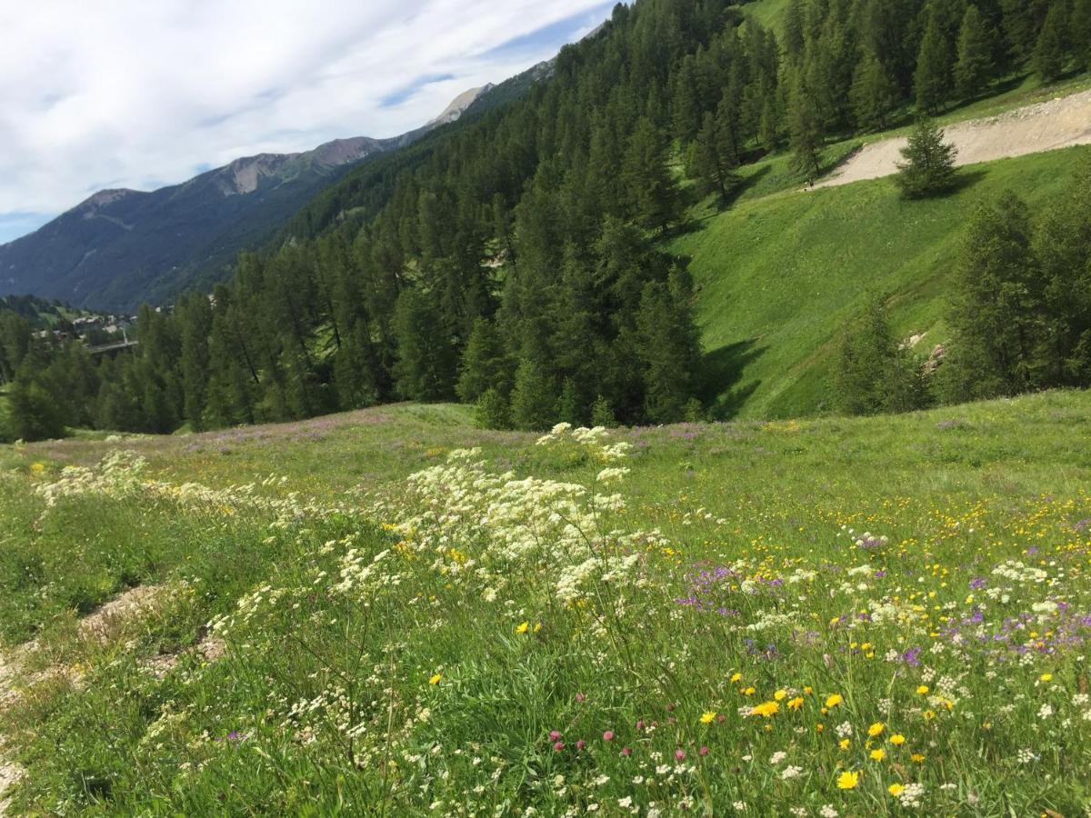Studio Montagne Allos Dış mekan fotoğraf
